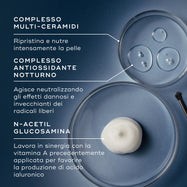 Una presentazione degli ingredienti su sfondo blu con tre piastre di Petri contenenti liquidi trasparenti e una noce di crema bianca. Delle linee le collegano a un testo che spiega il Multi-Ceramide Complex, il Midnight Antioxidant Complex e la N-Acetyl Glucosamine.